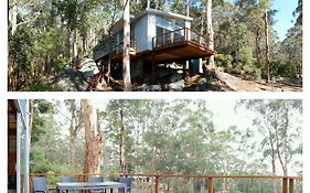 The Tree House